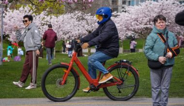 Metro Vancouver's cherry blossoms prompt warning about disruptive behaviour, illegal parking