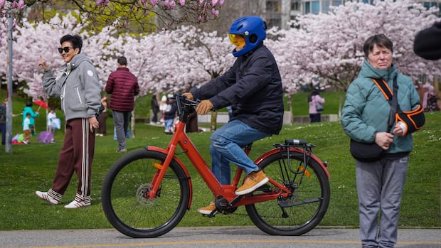 Metro Vancouver's cherry blossoms prompt warning about disruptive behaviour, illegal parking