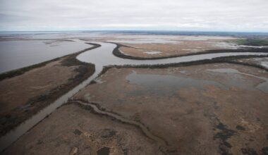 Delays on Winnipeg sewage treatment can’t continue – Winnipeg Free Press
