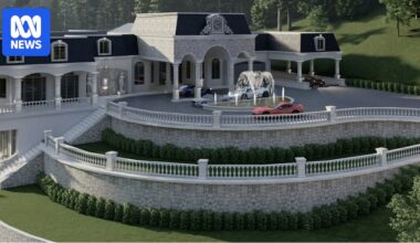 Sydney developer who illegally cut down native trees lodges plan for $10m mansion