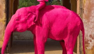 Elephant painted pink: Russian artist faces severe backlash for photo shoot in Rajasthan
