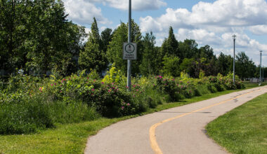 Example of naturalization on a shared path