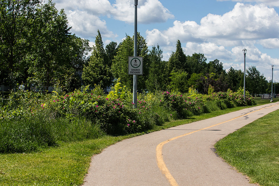 Example of naturalization on a shared path