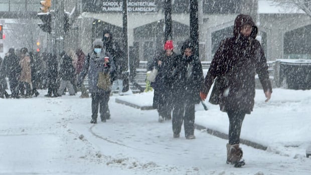 Two dozen people injured in crashes during April snowstorm: police