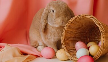 Winnipeg Easter Weekend Hours: What’s Open and Closed