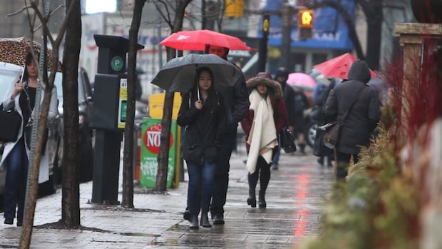 Heavy rain, possible thunderstorms expected in Toronto this weekend: Environment Canada