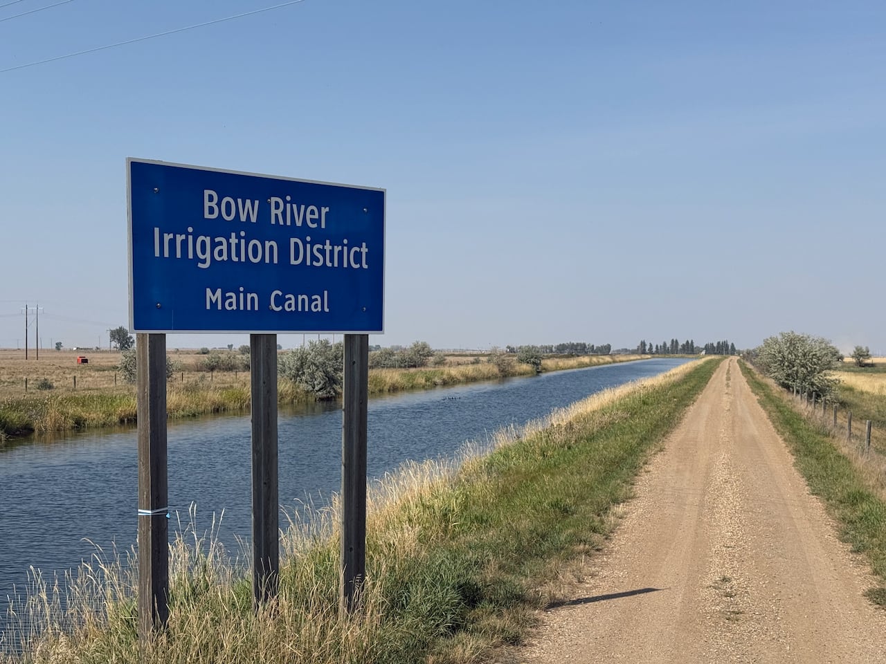 A deep blue sign reads "the Bow River Irrigation District Main Canal" and stands in grass beside a gravel road and long body of blue water surroundnig by priarie grass