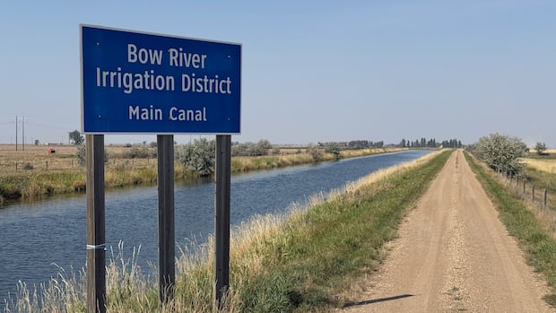 Alberta's irrigators make case for major expansion plans