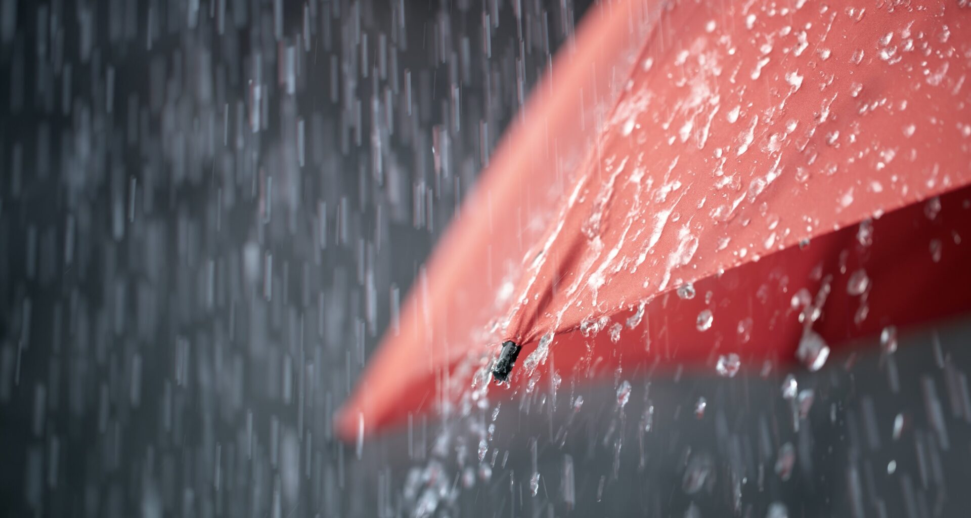 Heavy Rain, Snowmelt and Rising Water Levels