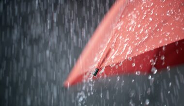 Heavy Rain, Snowmelt and Rising Water Levels