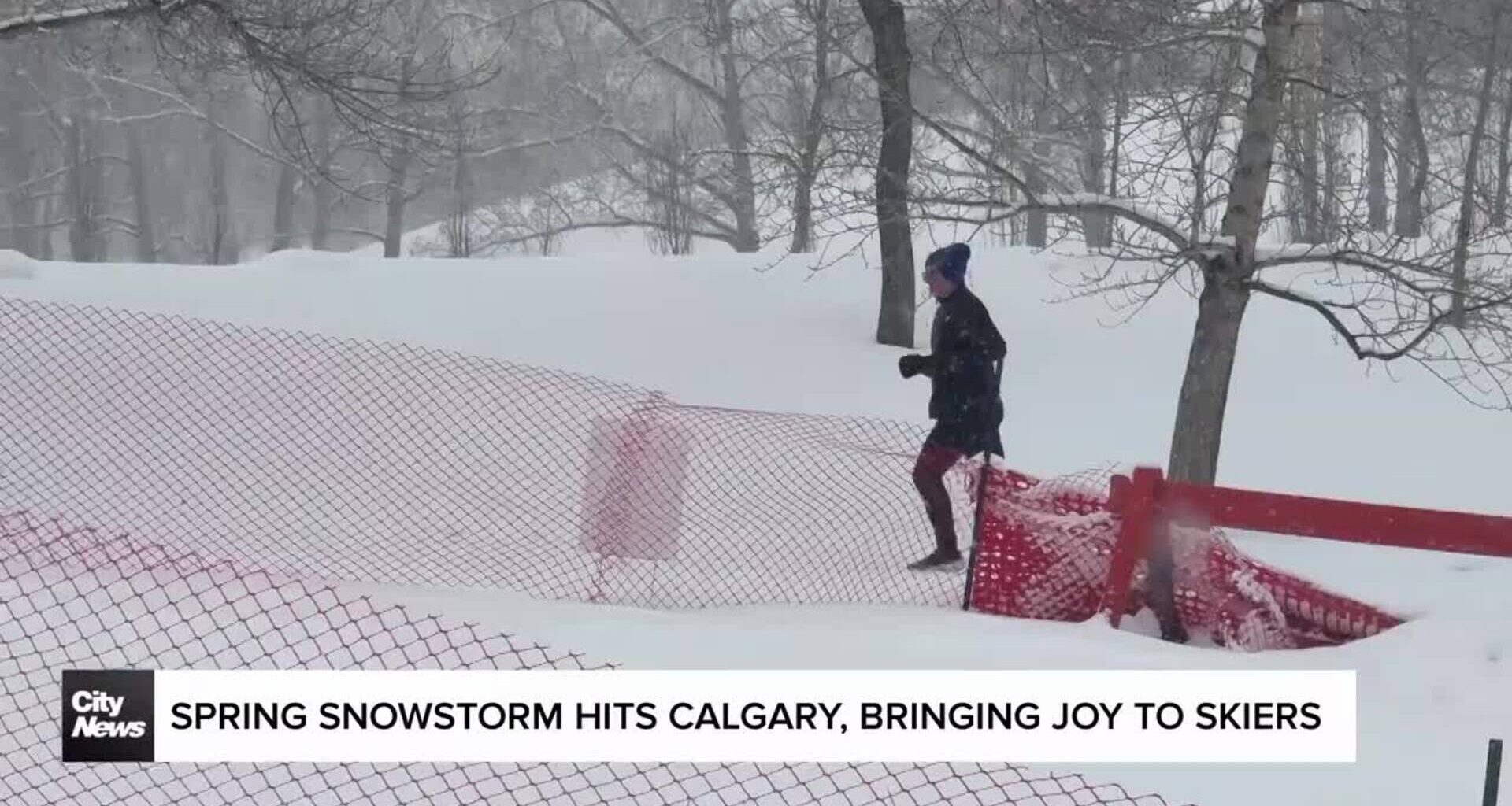 Spring Snowstorm hits Calgary, bringing joy to skiers
