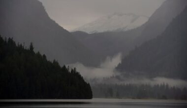 Carney leans on private money, alternative approaches in nature strategy. Will it work?