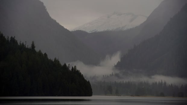 Carney leans on private money, alternative approaches in nature strategy. Will it work?