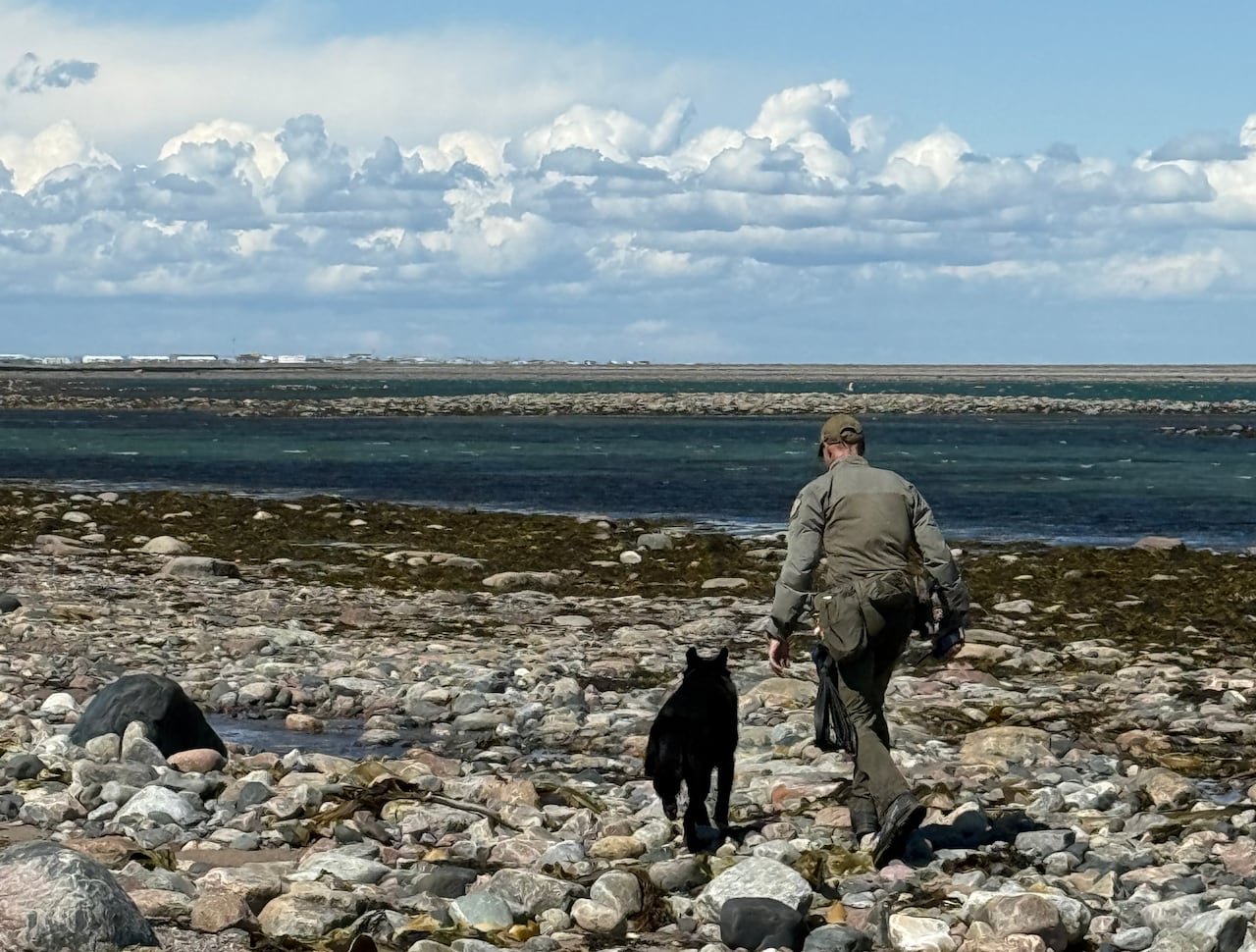 A man in a uniform and a dog walk along a rocky shore.