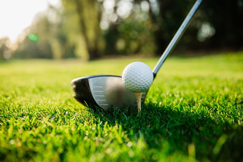 Old Yadvindrians bag inter-alumni golf trophy