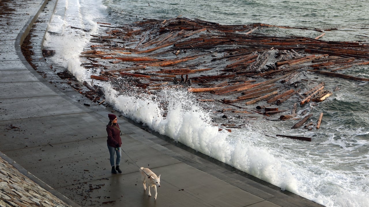 A woman walks a dog on a shoreline.
