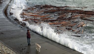 Environment Canada says strong winds are coming to parts of B.C. starting Monday