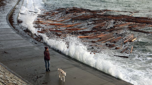 Environment Canada says strong winds are coming to parts of B.C. starting Monday