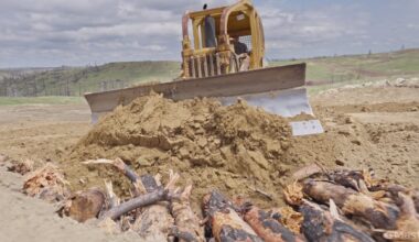 Burying burnt wood after wildfires could help the climate