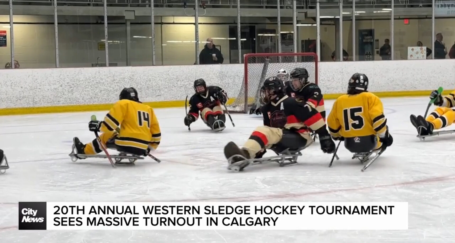 20th annual Western Sledge Hockey tournament sees massive turnout in Calgary