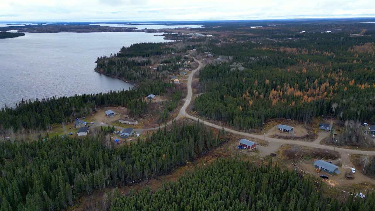 An aerial shot shows a forest by a river with some houses in it.