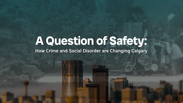 A Question of Safety: How crime and social disorder are changing Calgary