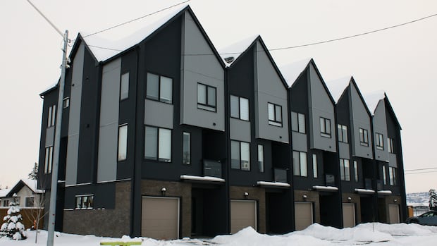 Weeks-long public hearing on repealing blanket rezoning in Calgary ends