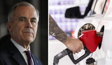 PM Carney responds to Canadians facing around $2/L at the gas pumps - CTV News