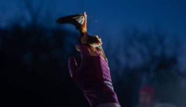 Ukrainians find glimmer of hope in war time by releasing hundreds of bats into the wild