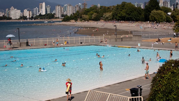Vancouver Park Board commissioners vote to ask city council for $1.43B in funding