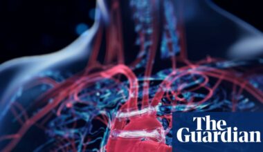 Scientists develop AI tool to spot heart failure risk five years before it strikes | Heart disease