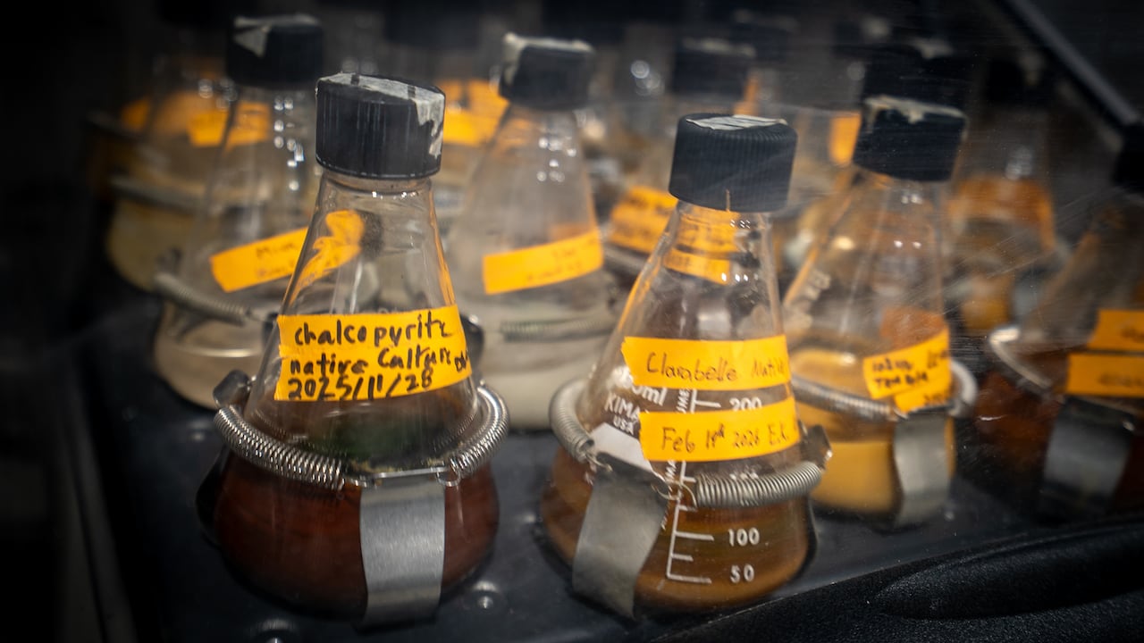 Photo of beakers in an incubator