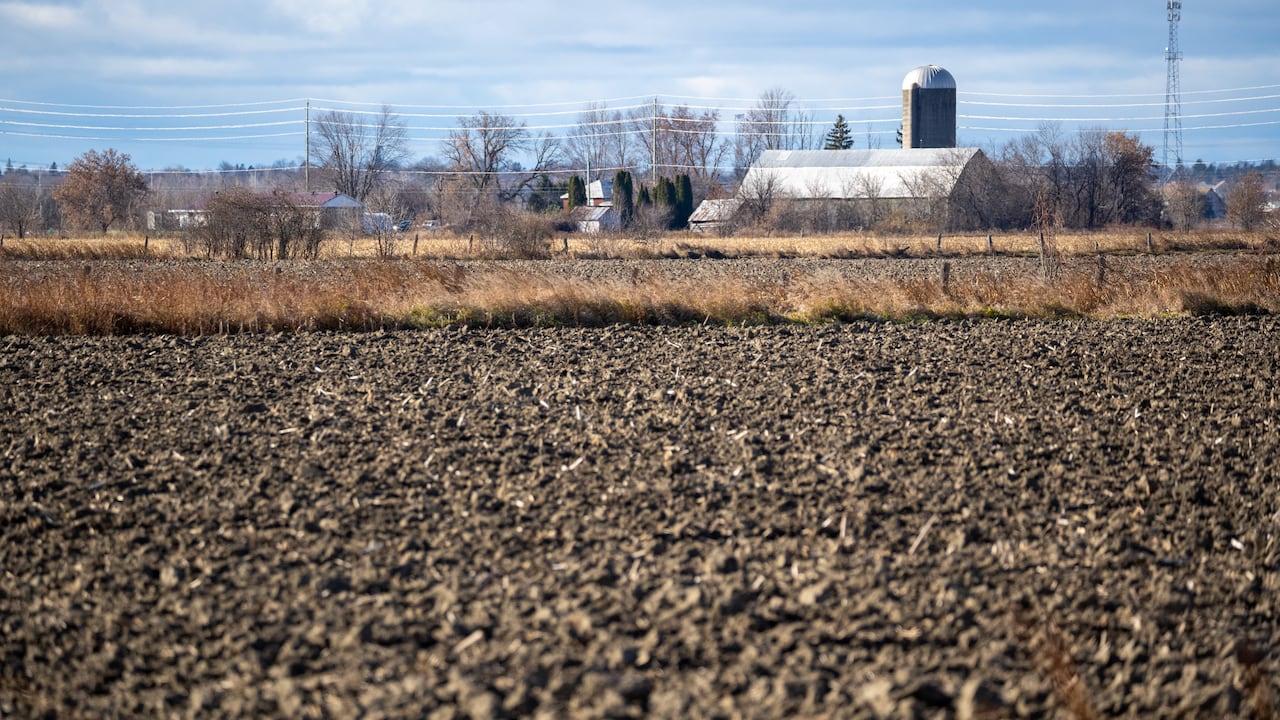 A farm field in mid-autumn.