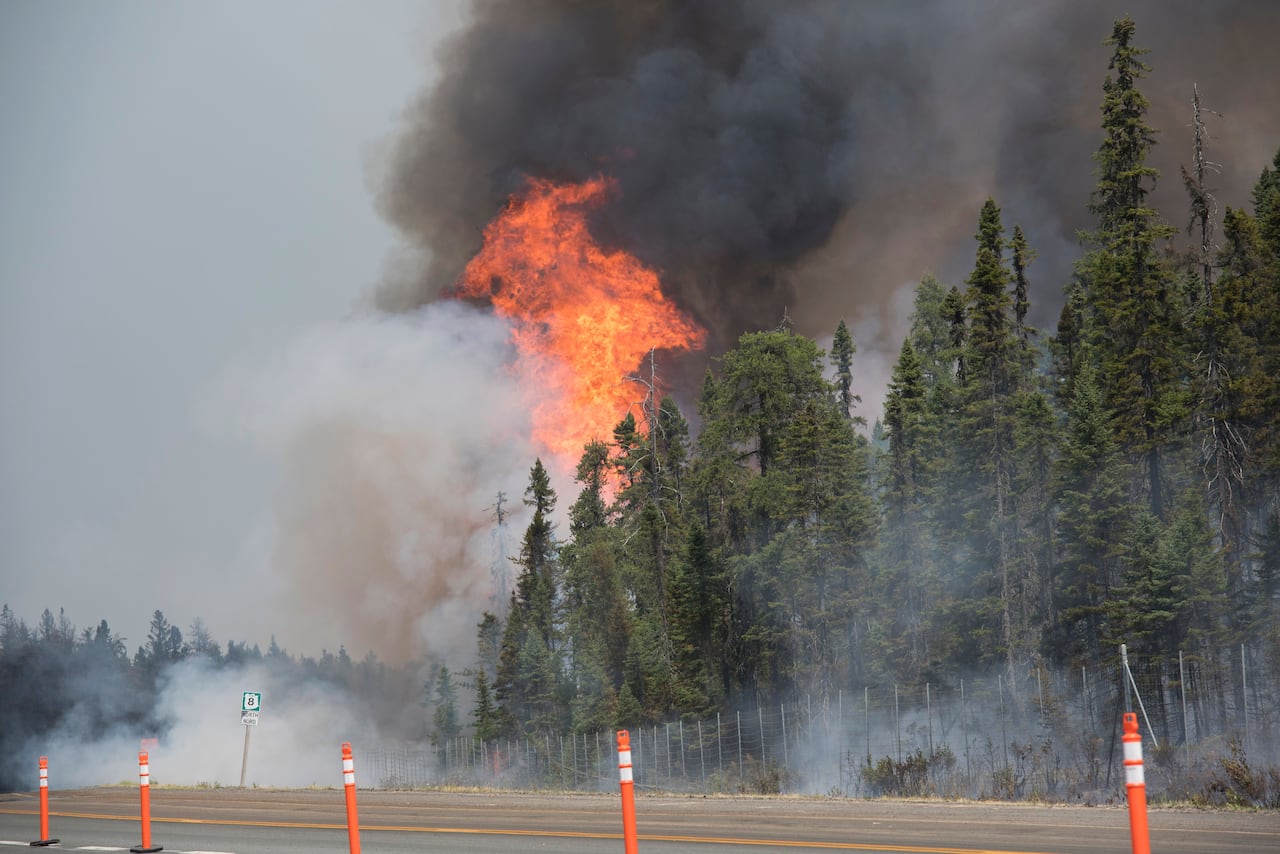 A fire burns at the top of a treeline.