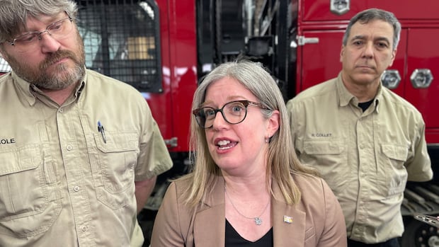 N.B. wildfire season underway as province announces $6.7M to help efforts