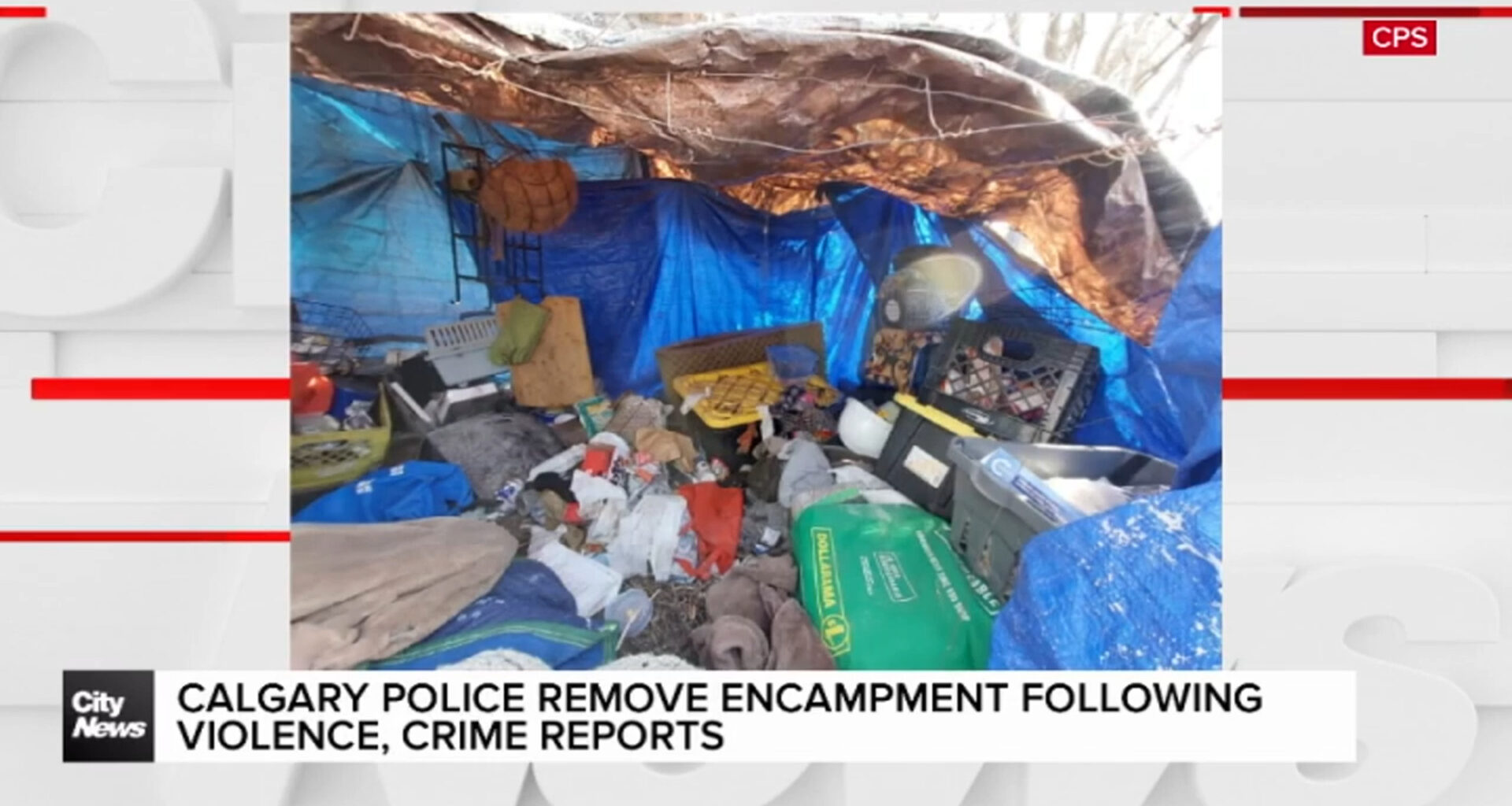 Calgary police remove encampment following violence, crime reports