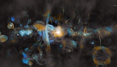 An image of the supermassive black hole at the centre of the Milky Way, captured by the MeerKAT radio telescope. Credit: NASA, ESA, CSA, STScI, SARAO, Samuel Crowe (UVA), John Bally (CU), Ruben Fedriani (IAA-CSIC), Ian Heywood (Oxford)