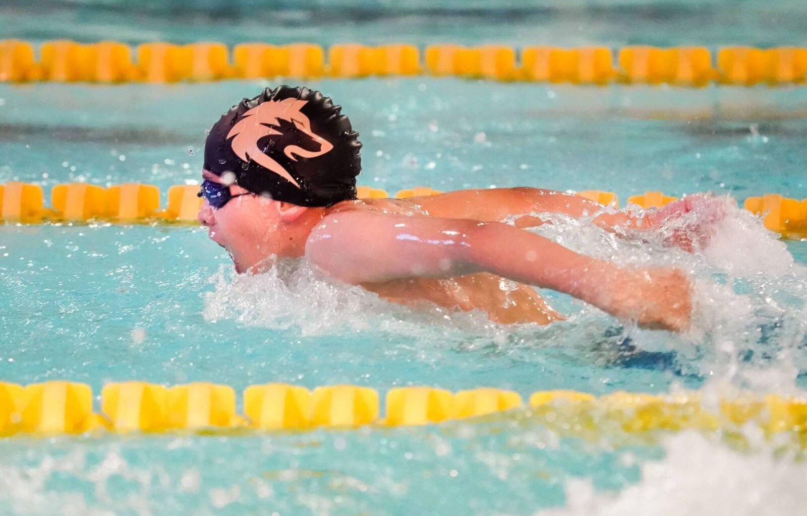 Young swimmers set record pace in pool – Winnipeg Free Press