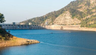 Nangal Dam lake loses 24 per cent storage capacity due to siltation