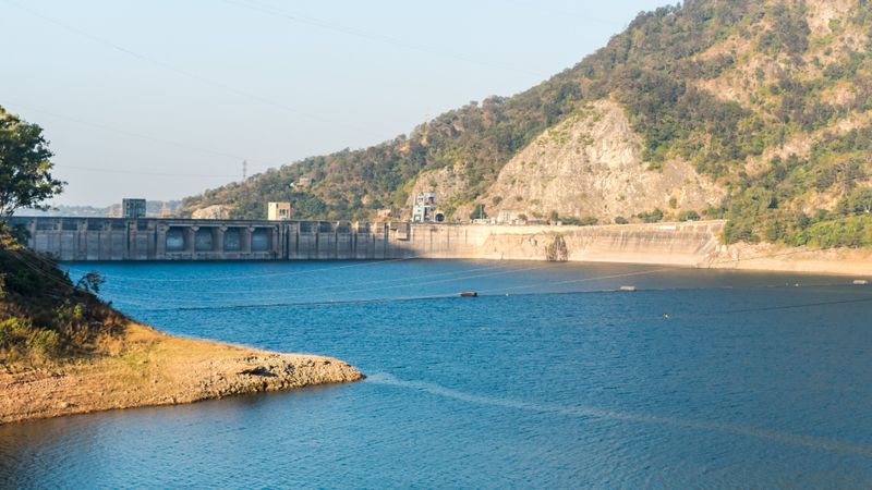 Nangal Dam lake loses 24 per cent storage capacity due to siltation