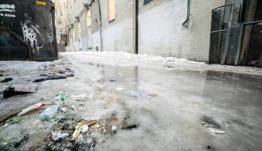 Back lane paved with trouble – Winnipeg Free Press