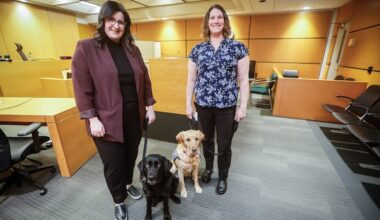 Dogs lend comforting paw to victims of crime navigating Winnipeg court system