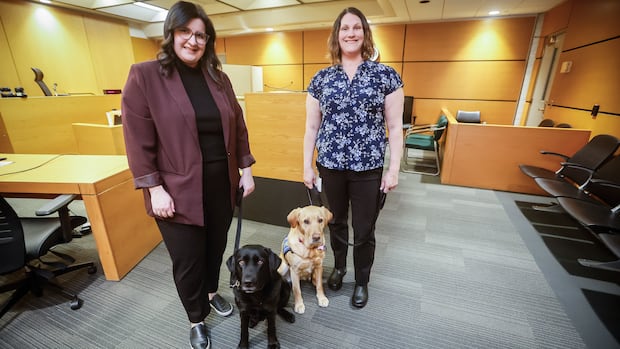 Dogs lend comforting paw to victims of crime navigating Winnipeg court system
