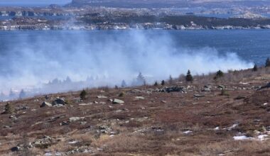 N.L. fire chiefs call for vigilance after responding to multiple brush fires on Avalon Peninsula
