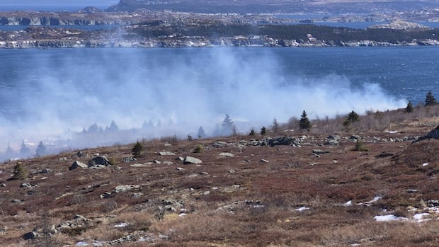 N.L. fire chiefs call for vigilance after responding to multiple brush fires on Avalon Peninsula