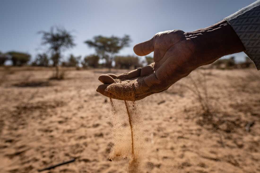 A farmer displays a handful of sandy soil at his field outside Sakal, Senegal. The farm was part of a Great Green Wall project, and thrived for a time before falling into disrepair and reverting to desert. Among the most ambitious environmental projects ever attempted, the multi-billion dollar Great Green Wall initiative has been beset by problems.
