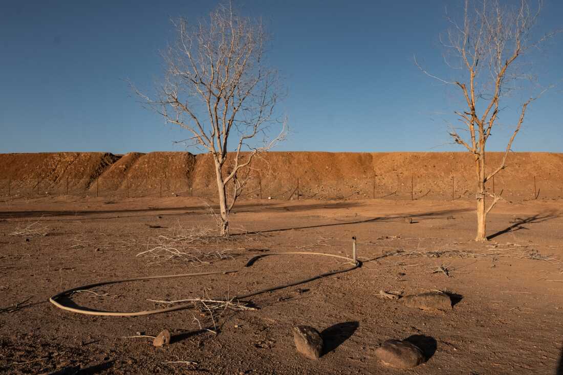 Sections of a broken irrigation system are seen in what was once a thriving community farm backed by the Great Green Wall initiative in Kourtemale, Djibouti. The farm's irrigation system failed, and the land reverted to desert.