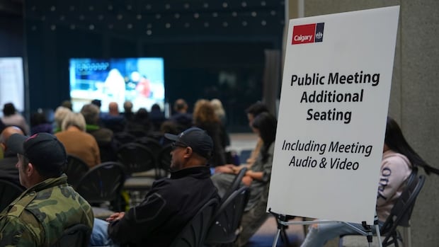Municipal public hearings: 'Direct democracy in action' or 'outdated model'?