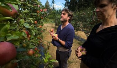 Comedy actor Zach Galifianakis shines a light on Vancouver Island farms in new Netflix series