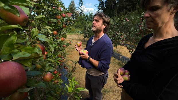 Comedy actor Zach Galifianakis shines a light on Vancouver Island farms in new Netflix series